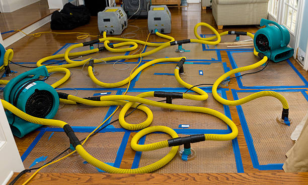 Professional Emergency Water Removal technician working in Lehigh Acres, FL